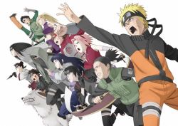 Naruto: Người Kế Thừa Hỏa Chí