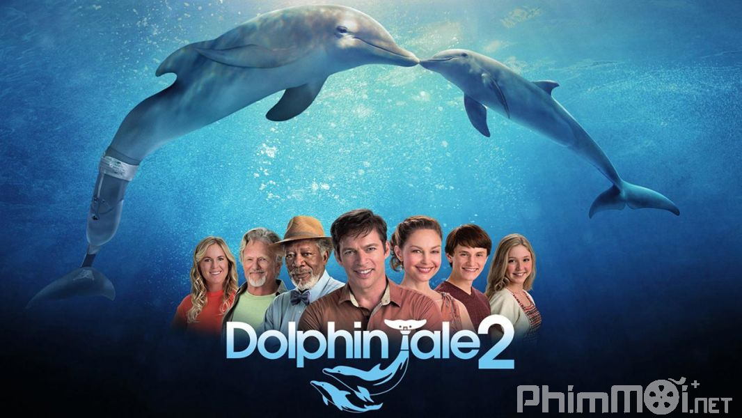 Câu Chuyện Cá Heo 2-Dolphin Tale 2